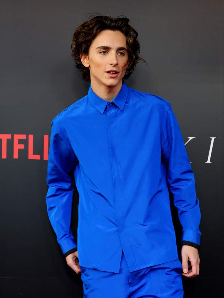 General photo of Timothee Chalamet