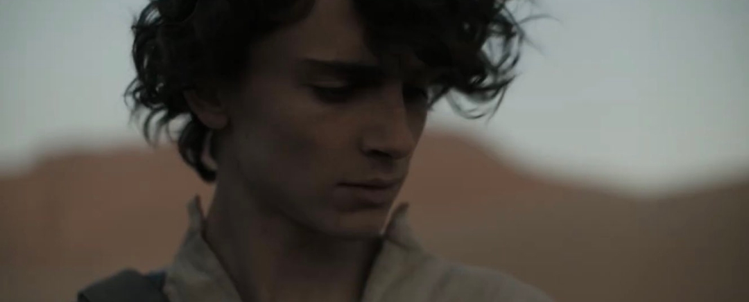 Timothee Chalamet in Dune