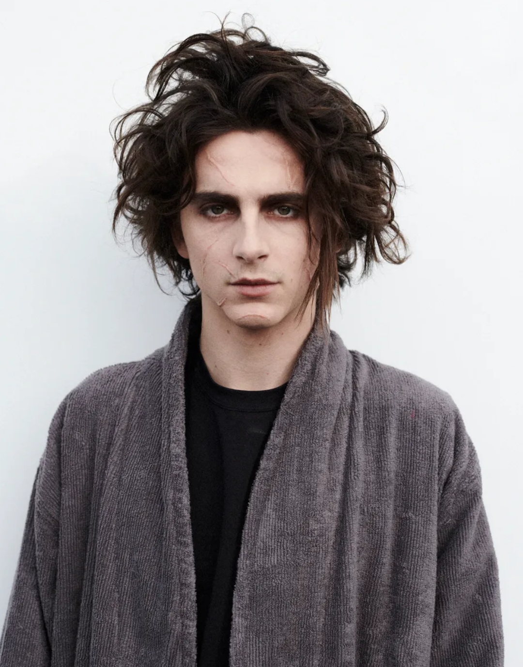 General photo of Timothee Chalamet