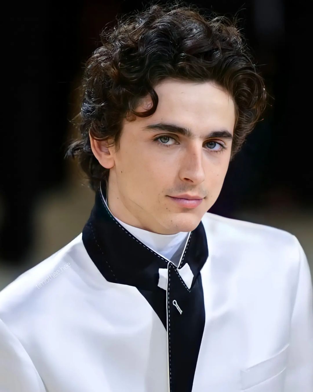 General photo of Timothee Chalamet