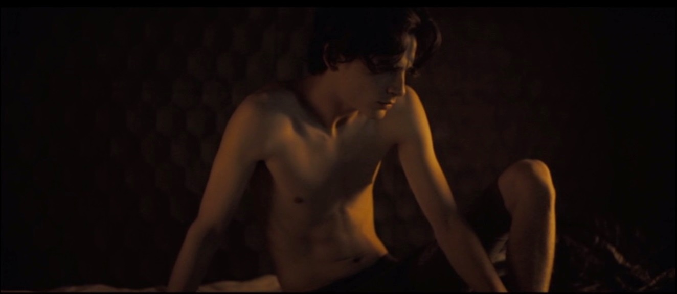 Timothee Chalamet in Dune