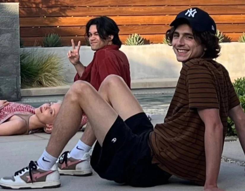 General photo of Timothee Chalamet