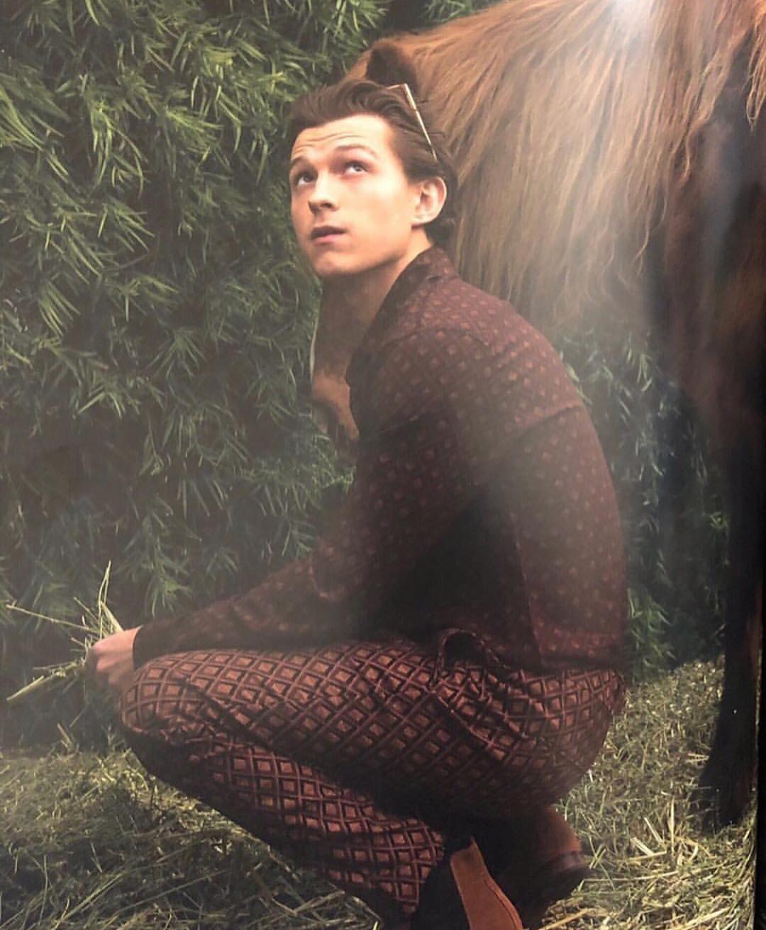 General photo of Tom Holland