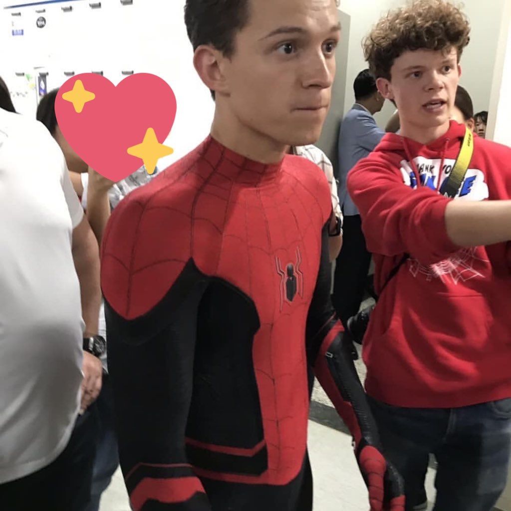 General photo of Tom Holland