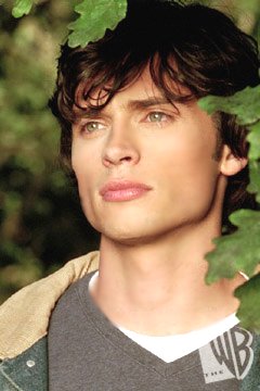 General photo of Tom Welling