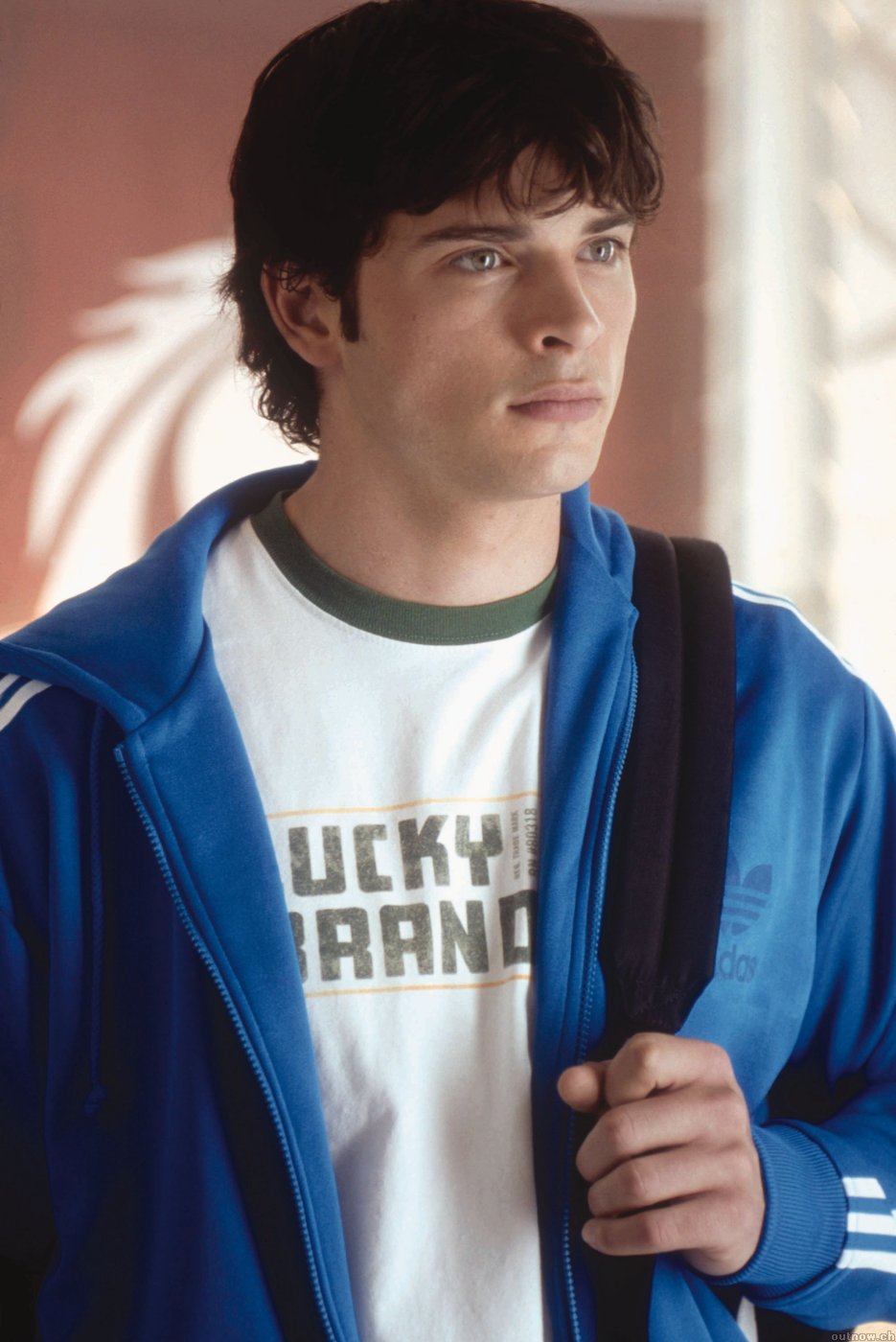 Tom Welling in Cheaper By The Dozen