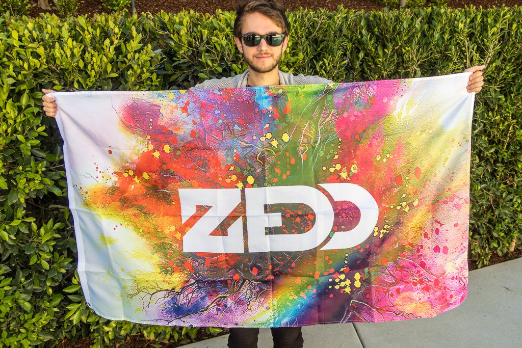 General photo of Zedd