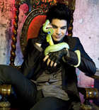 Adam Lambert : adam-lambert-1327615605.jpg