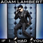Adam Lambert : adam-lambert-1331678213.jpg