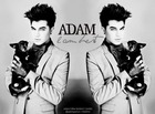 Adam Lambert : adam-lambert-1335252721.jpg