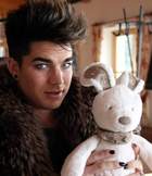 Adam Lambert : adam-lambert-1335510650.jpg