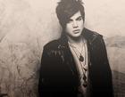 Adam Lambert : adam-lambert-1335729615.jpg