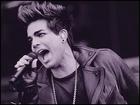 Adam Lambert : adam-lambert-1335816055.jpg