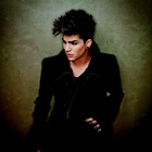 Adam Lambert : adam-lambert-1335824953.jpg