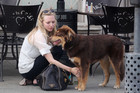 Amanda Seyfried : amanda-seyfried-1364795357.jpg