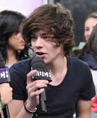 Harry Styles : harry-styles-1332612510.jpg