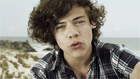 Harry Styles : harry-styles-1337065625.jpg