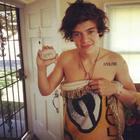 Harry Styles : harry-styles-1358105088.jpg