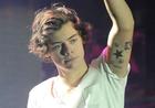 Harry Styles : harry-styles-1362113864.jpg