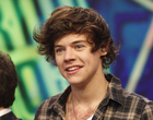 Harry Styles : harry-styles-1364793718.jpg