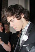 Harry Styles : harry-styles-1372449509.jpg