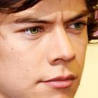 Harry Styles : harry-styles-1381866046.jpg