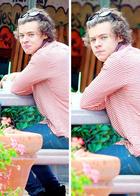 Harry Styles : harry-styles-1385408311.jpg