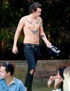 Harry Styles : harry-styles-1390147825.jpg