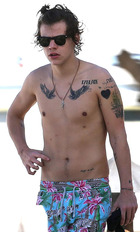 Harry Styles : harry-styles-1392084085.jpg