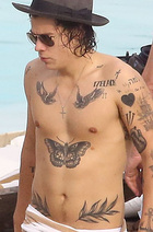 Harry Styles : harry-styles-1414524269.jpg