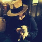 Harry Styles : harry-styles-1416091775.jpg