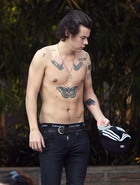 Harry Styles : harry-styles-1416582483.jpg