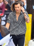 Harry Styles : harry-styles-1416776130.jpg