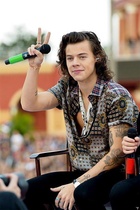 Harry Styles : harry-styles-1420648226.jpg