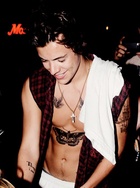 Harry Styles : harry-styles-1421260953.jpg