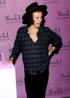 Harry Styles : harry-styles-1427732417.jpg