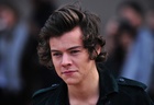 Harry Styles : harry-styles-1428078872.jpg