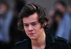 Harry Styles : harry-styles-1428078872.jpg