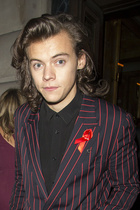 Harry Styles : harry-styles-1428079388.jpg