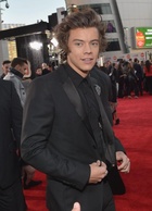 Harry Styles : harry-styles-1428426108.jpg