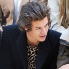 Harry Styles : harry-styles-1428943173.jpg