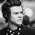 Harry Styles : harry-styles-1428943313.jpg