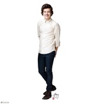 Harry Styles : harry-styles-1429894997.jpg