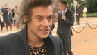 Harry Styles : harry-styles-1429986795.jpg