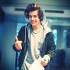 Harry Styles : harry-styles-1430070771.jpg