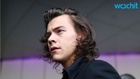 Harry Styles : harry-styles-1430161862.jpg