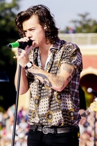 Harry Styles : harry-styles-1430413459.jpg