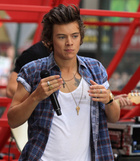 Harry Styles : harry-styles-1430413748.jpg