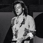 Harry Styles : harry-styles-1433717333.jpg