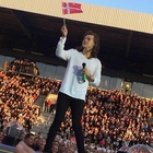 Harry Styles : harry-styles-1434554904.jpg